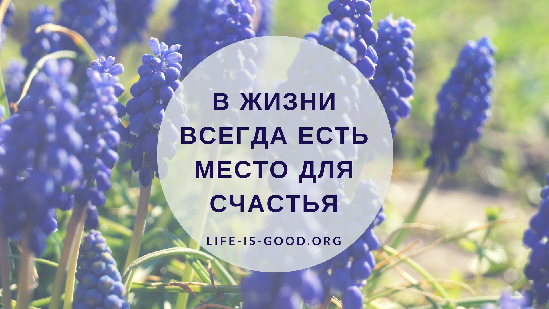 В жизни всегда есть место для счастья